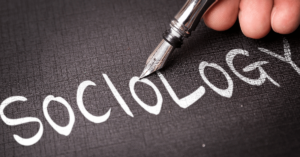 Analytic and Synthetic Sociology Definition