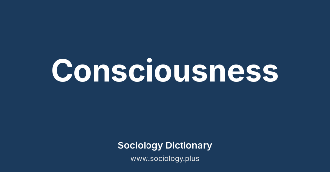 Consciousness
