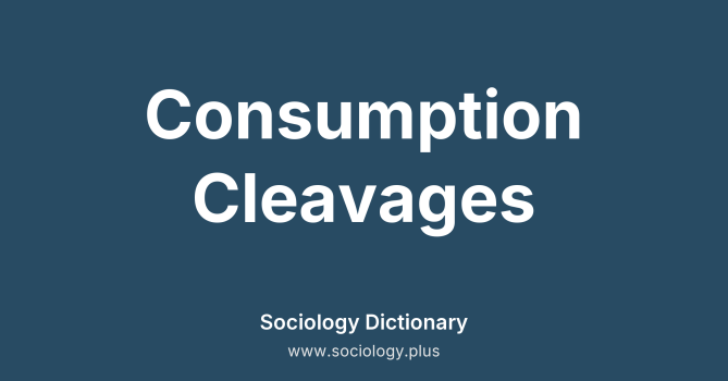 Consumption Cleavages