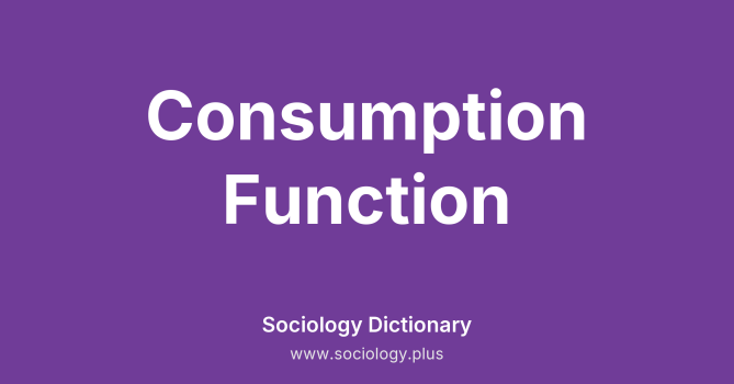 Consumption Function
