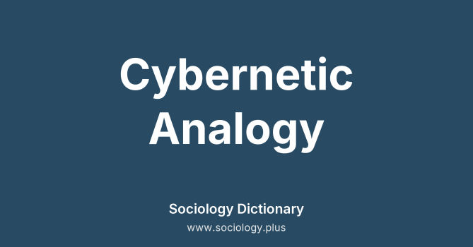 Cybernetic Analogy