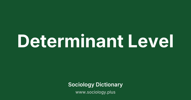 Determinant Level