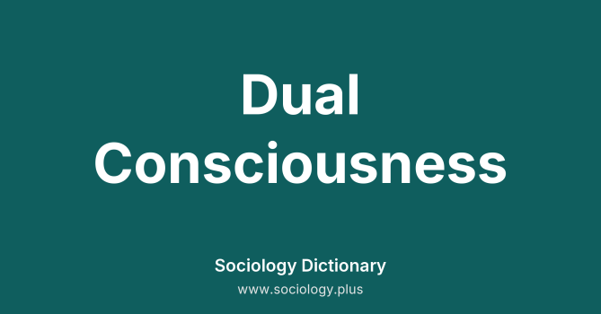 Dual Consciousness