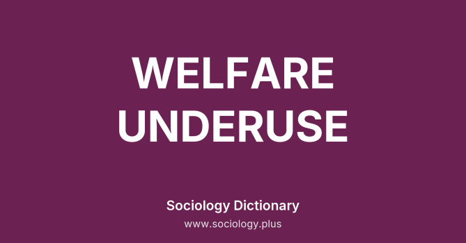 Welfare Underuse