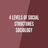 What are 4 levels of social structures | Infographics