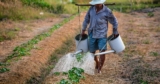 Agrarian Societies