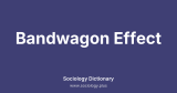 Bandwagon Effect