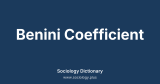 Benini Coefficient