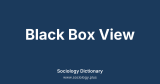 Black Box View