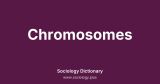 Chromosomes