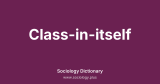 Class-in-itself