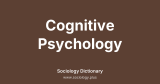Cognitive Psychology