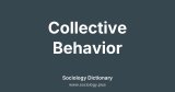Collective Behavior