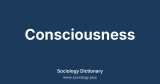 Consciousness