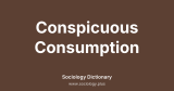 Conspicuous Consumption
