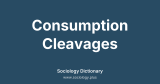 Consumption Cleavages