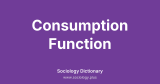 Consumption Function