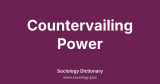 Countervailing Power