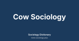 Cow Sociology