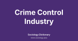 Crime Control Industry