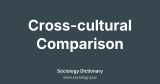 Cross-cultural Comparison