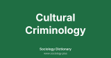 Cultural Criminology