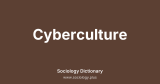 Cyberculture