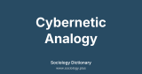 Cybernetic Analogy