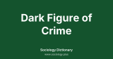 Dark Figure of Crime