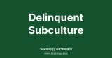 Delinquent Subculture