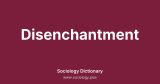 Disenchantment