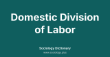 Domestic Division of Labor