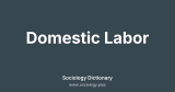 Domestic Labor