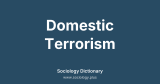 Domestic Terrorism