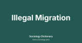 Illegal Migration