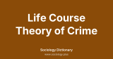 Life Course Theory of Crime