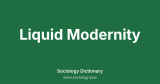 Liquid Modernity