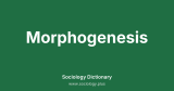 Morphogenesis