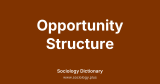 Opportunity Structure