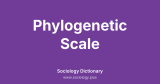Phylogenetic Scale