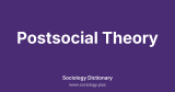 Postsocial Theory