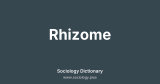 Rhizome