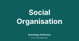 Social Organisation
