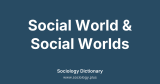 Social World & Social Worlds