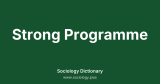 Strong Programme