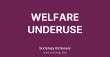 Welfare Underuse