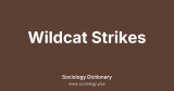 Wildcat Strikes